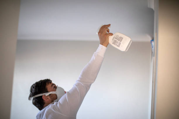 Best Mold Removal Company Near Me  in Yorketown, NJ