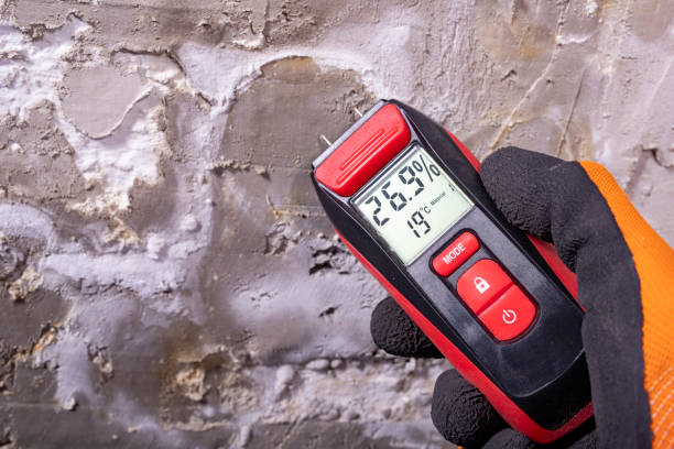 Best Fast Mold Removal  in Yorketown, NJ