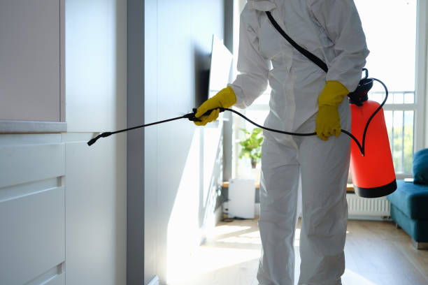 Certified Mold Removal in Yorketown, NJ