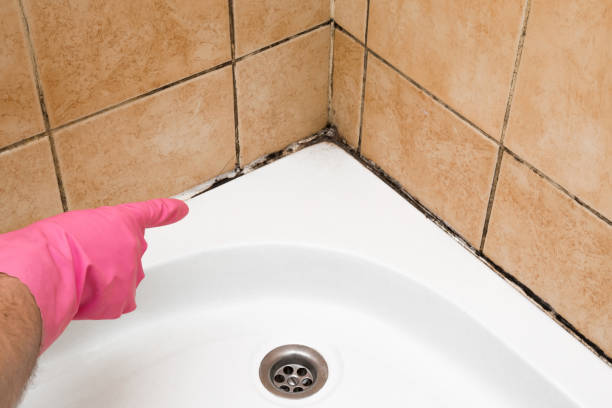 Best Home Mold Removal  in Yorketown, NJ